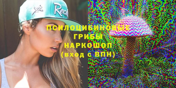 ПСИЛОЦИБИНОВЫЕ ГРИБЫ Заволжск