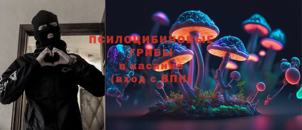 СК Инта