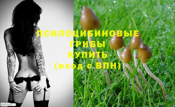 марки lsd Зерноград