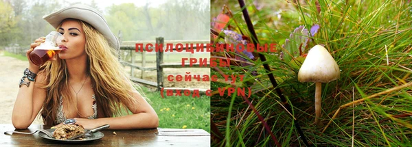 СК Инта
