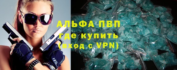 СК Инта