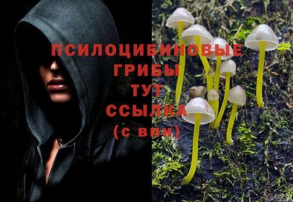 СК Инта